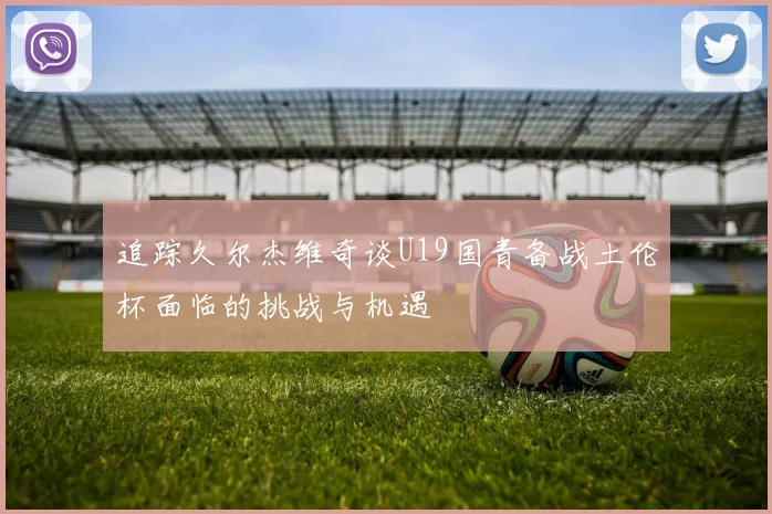 追踪久尔杰维奇谈U19国青备战土伦杯面临的挑战与机遇