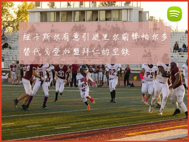纽卡斯尔有意引进里尔前锋帕尔多替代戈登加盟拜仁的空缺